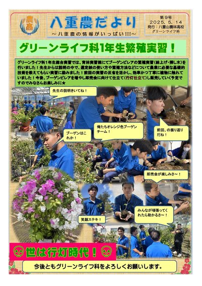 八重農だより【9号】１年生ブーゲン日レア繁殖実習-1.jpg