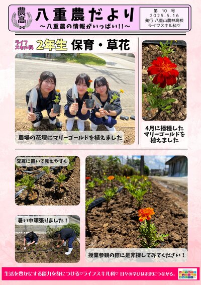 八重農だより【10号】ライフ2年草花 花壇の栽植-1.jpg