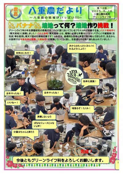 八重農だより【12号】バナナ培地って何？-1.jpg